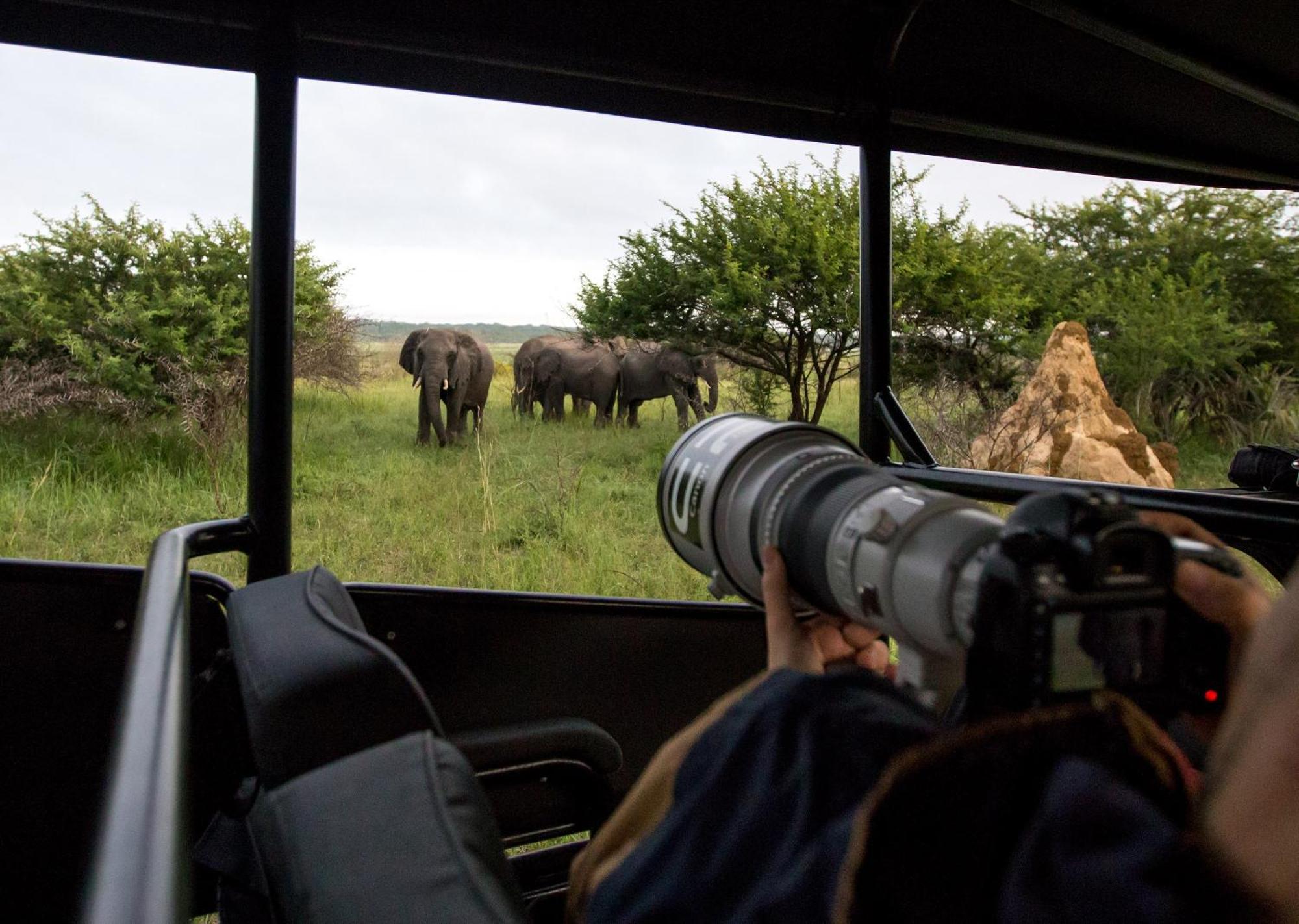 Royal Thonga Safari Lodge Sihangwane Eksteriør bilde