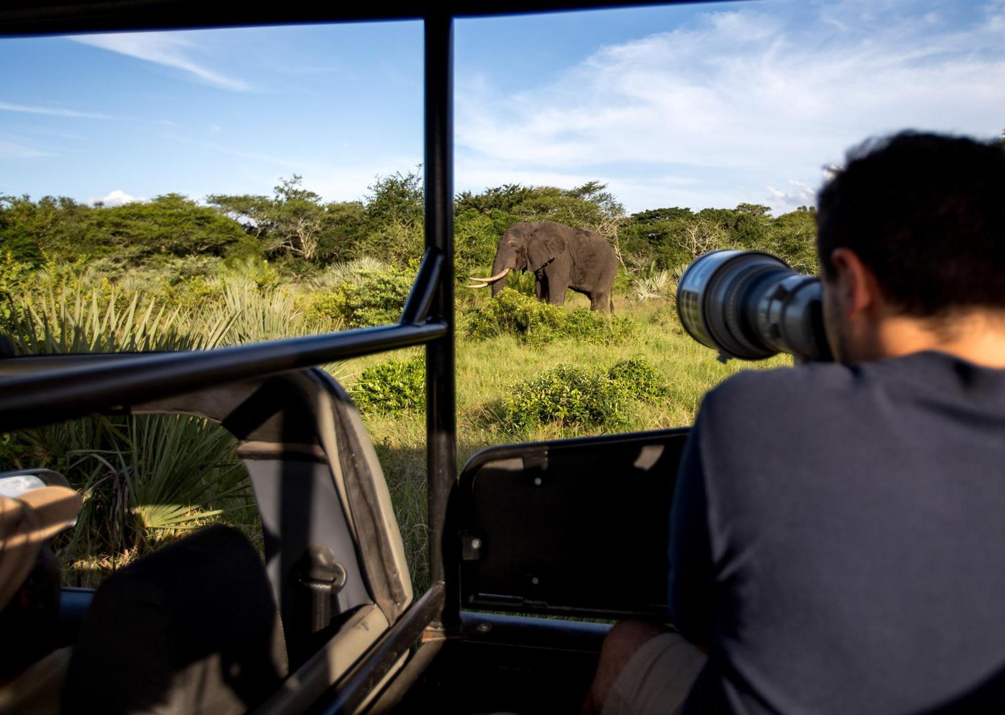 Royal Thonga Safari Lodge Sihangwane Eksteriør bilde