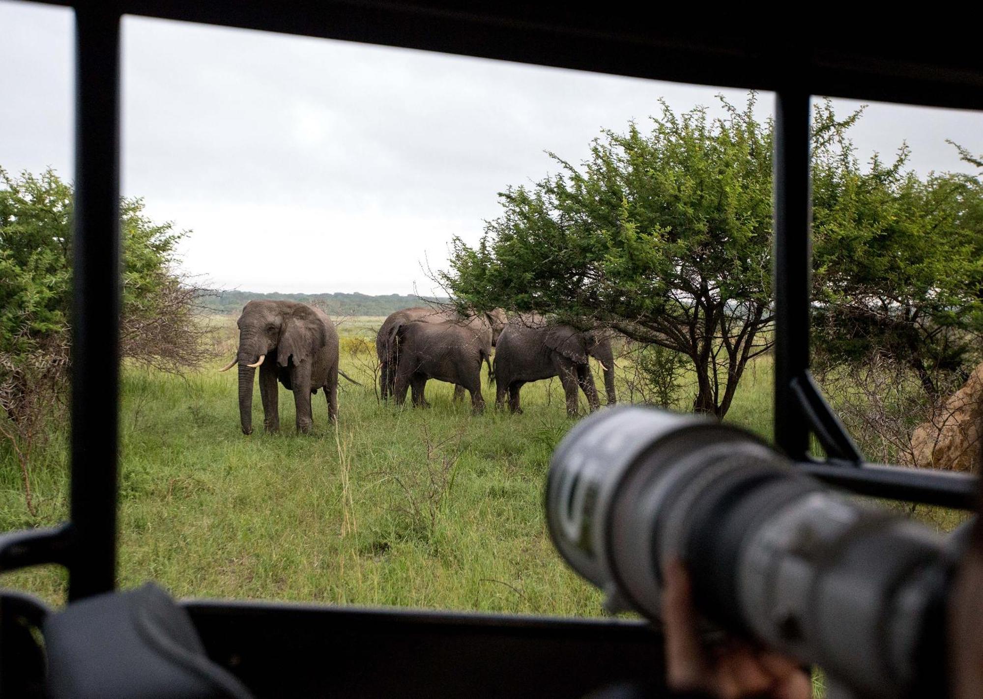 Royal Thonga Safari Lodge Sihangwane Eksteriør bilde