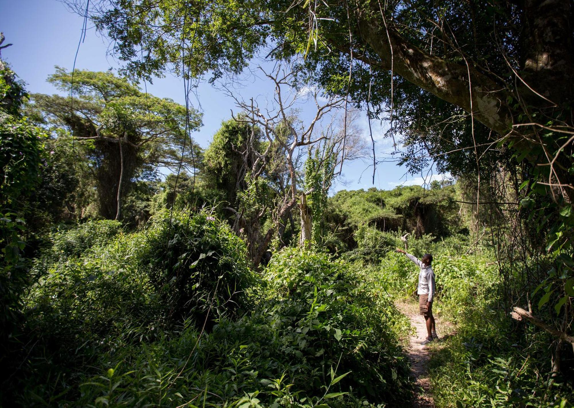 Royal Thonga Safari Lodge Sihangwane Eksteriør bilde