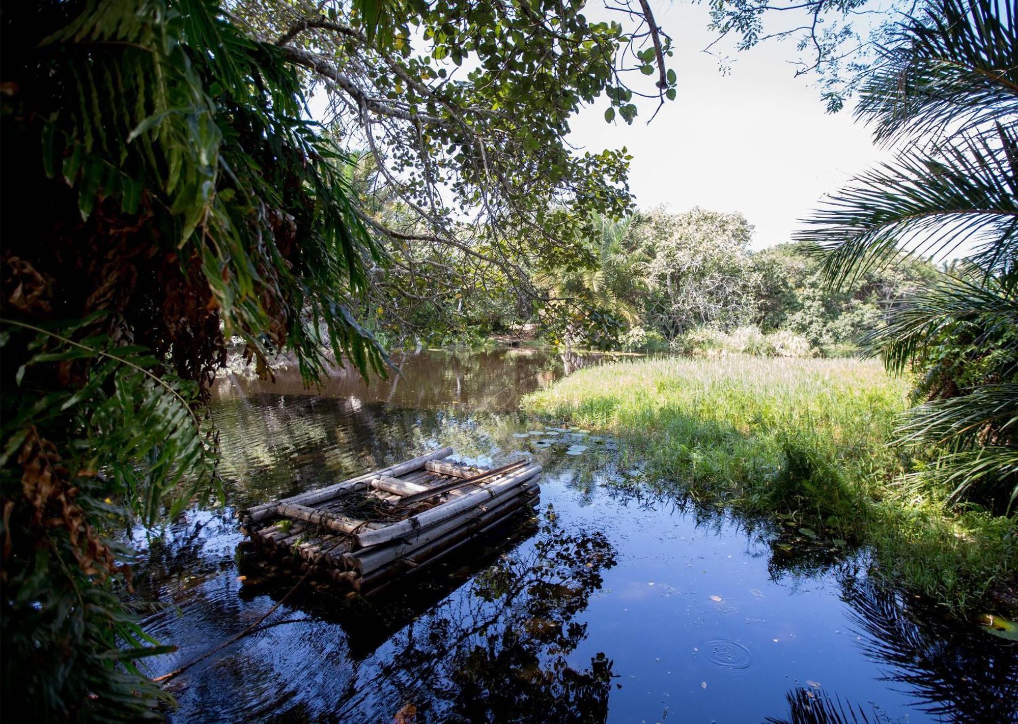 Royal Thonga Safari Lodge Sihangwane Eksteriør bilde