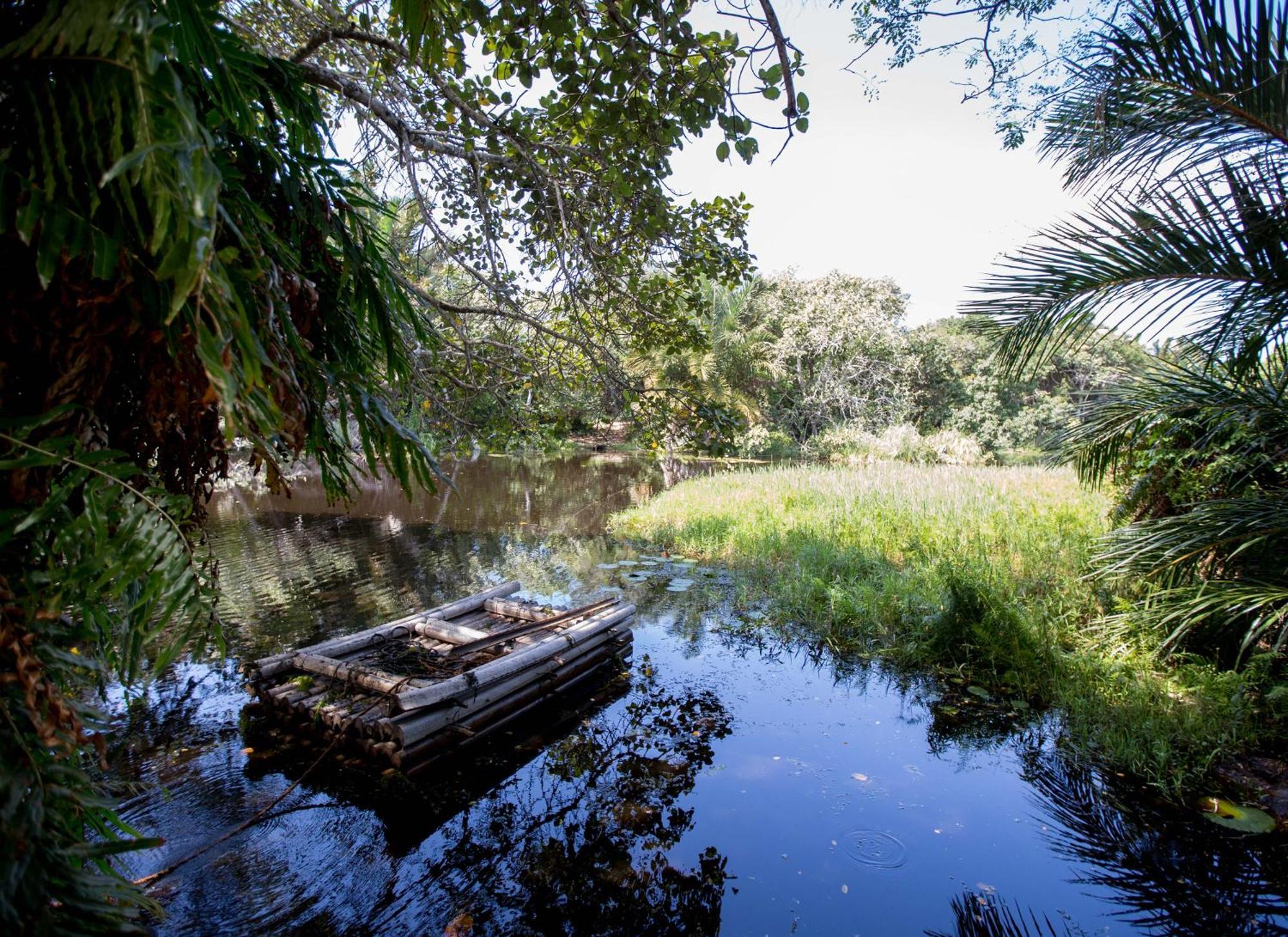 Royal Thonga Safari Lodge Sihangwane Eksteriør bilde